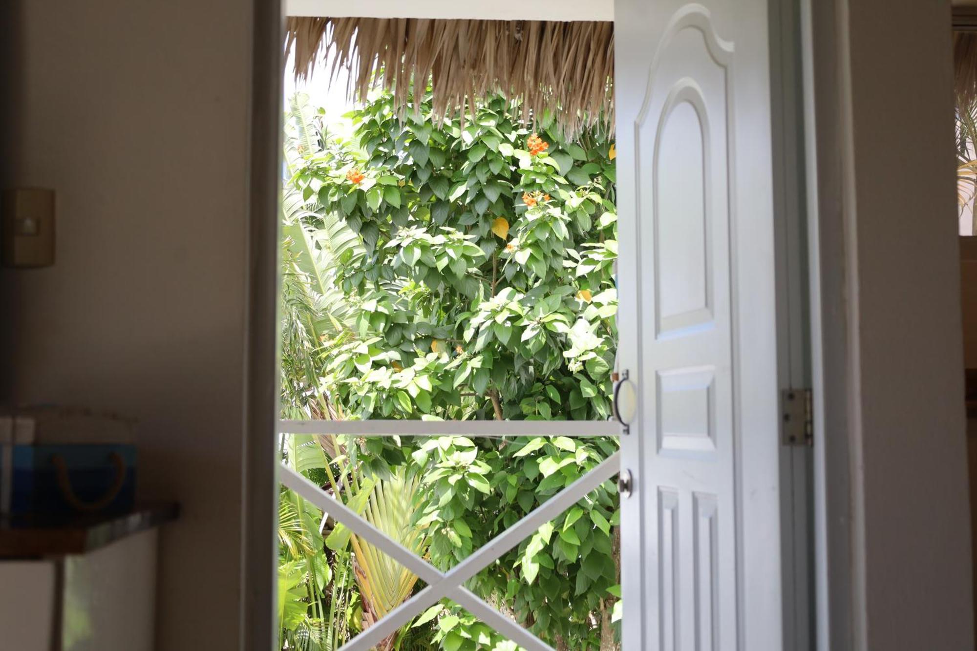 Bayahibe Guest House Hotel Room photo